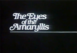 De Ogen van de Amaryllis