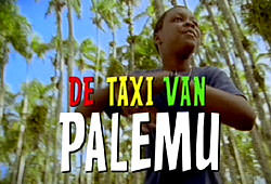 De Taxi van Palemu
