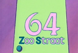 Zoostraat 64
